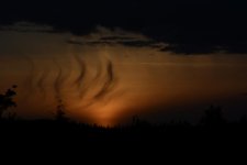 DSC_0058.jpg