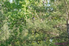 Almost-130520_1.jpg
