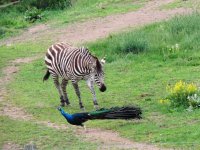 DSCN9317.jpg