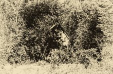 DSC_7130-Edit.jpg