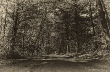 DSC_7148-Edit.jpg