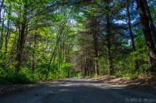 DSC_7148.jpg