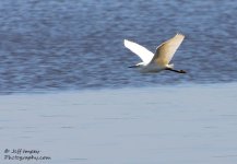 DSC_2250.jpg