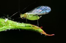 DSC_6710.jpg