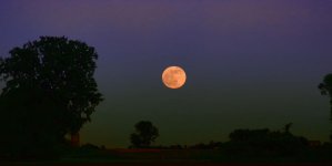 moon1200.jpg