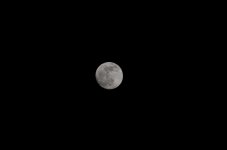24th May 2013 033.jpg