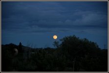 MOONRISE 012.jpg