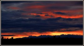 _DSC1549.jpg