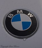 bmwlogo1.jpg