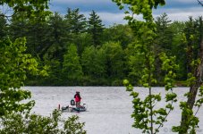 DSC_7447.jpg