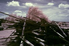 Color IR Wood Pile .jpg