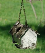 146 Birdhouse-130526_1.jpg