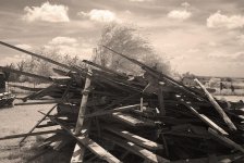 IR Woodpile Monochrome.jpg