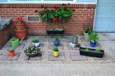 FLowerbed.jpg