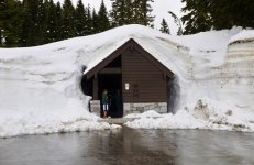 PACKWOOD 081.jpg