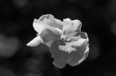 DSC_7779-2.jpg