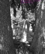 Vestal Center Cemetery-130527-06.jpg