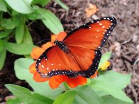 DSCN9546.jpg