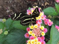 DSCN9551.jpg