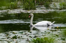 DSC_7851.jpg