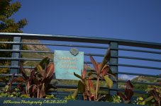 Childrens Garden Overlook.jpg