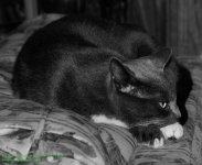 148 Buster-130528-01_1.jpg