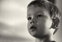 Transfixed.jpg