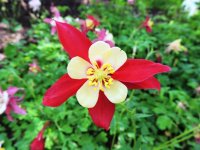 DSCN9602.jpg