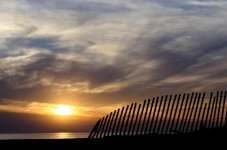 _DSC1157_72dpi.jpg