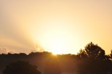 DSC_0006.jpg