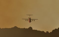 _ROY3033 - Copy.jpg