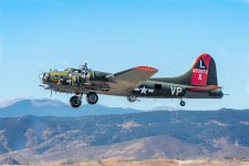 B-17-403.jpg
