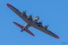 B-17-404.jpg