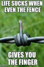 fence.jpg