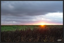 _71D0518.jpg