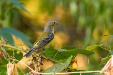 20191001-_D719952.jpg