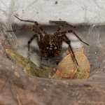 Laura's family-9249.jpg