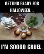 cruel.jpg