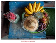 fruits-1.jpg