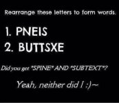 spine.jpg
