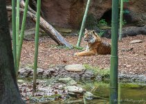 Zoo-0653.jpg