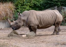 Zoo-0673.jpg