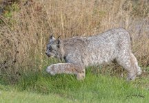 _IVA0722_DxO-1.jpg