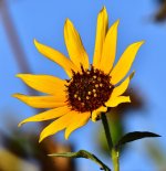 _ROY3844_01.jpg