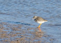 dsc_2476_11026229323_o.jpg