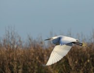dsc_6105_11449056805_o.jpg