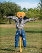 _DSC6186 low res.jpg