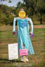 _DSC6192 low res.jpg