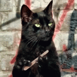 giphyj.gif