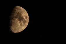 DSC_3323.jpg